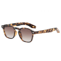 Brown Marble with Gradient Lenses