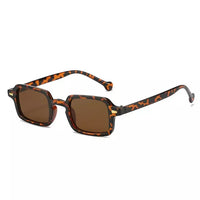 Leopard with Brown Lenses